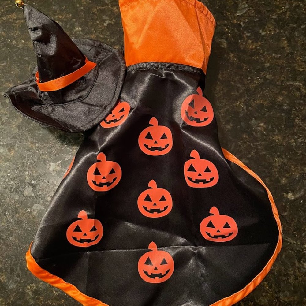 Halloween Cape and Hat for Cat or Dog  New!